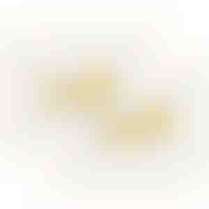 Auskarai | BELLA_GOLD