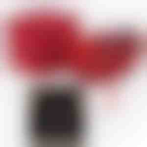 Nuo vyro žmonai | ALAYA_CLOVERIE_APPLEROSE