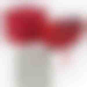 Nuo mamos dukrai | KIARA_CLOVERIE_APPLEROSE