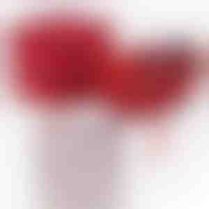 Nuo močiutės anūkei | NOA_CLOVERIE_APPLEROSE