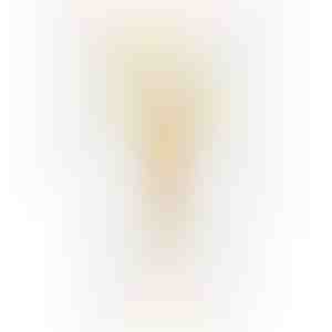 Auskarai | SOLITA_GOLD